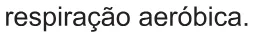 Alternativa D da questão 118 do ENEM 2021 - 2º Dia – Caderno 5 – Amarelo – Aplicação Regular.