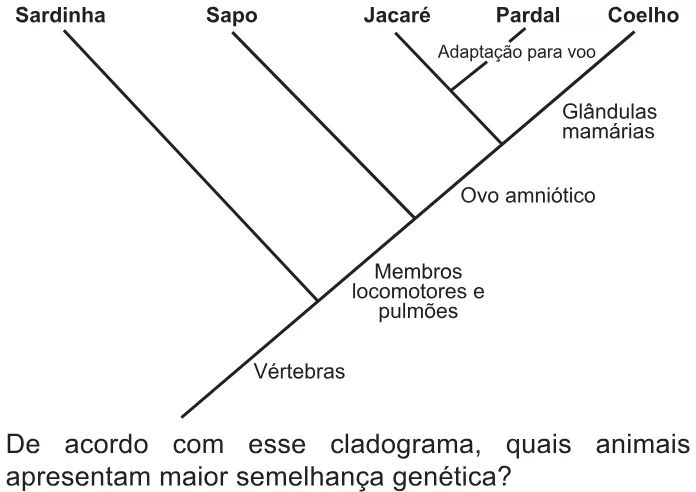 Trecho original com figura, tabela ou fórmula da questão 95 do ENEM 2021 - 2º Dia – Caderno 6 – Cinza – Reaplicação/PPL/Segunda Oportunidade.