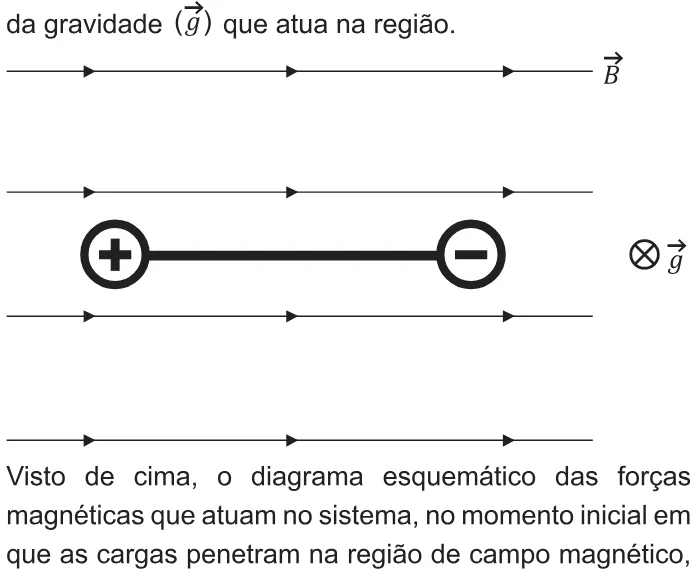 Trecho original com figura, tabela ou fórmula da questão 121 do ENEM 2021 - 2º Dia – Caderno 12 – Verde (Libras) – Aplicação Regular.