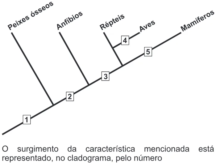 Trecho original com figura, tabela ou fórmula da questão 87 do ENEM 2015 - 1º Dia - Caderno 12 - Branco – Reaplicação/PPL.