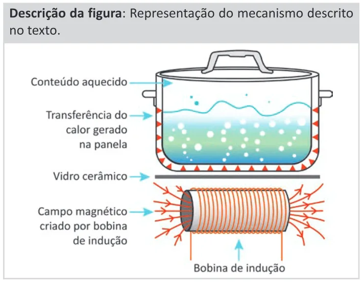 Trecho original com figura, tabela ou fórmula da questão 114 do ENEM 2025 - 2º Dia – Caderno 11 – Laranja (Braile e ledor) – Aplicação Regular - (Ledor).