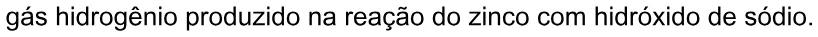 Alternativa E da questão 128 do ENEM 2020 - 2º Dia - Caderno 5 – Amarelo – Aplicação digital.