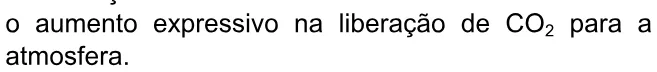 Alternativa C da questão 11 do ENEM 2009 - 1º Dia - Caderno 3 – Branco - Ledor.