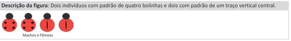 Alternativa D da questão 101 do ENEM 2025 - 2º Dia – Caderno 11 – Laranja (Braile e ledor) – Aplicação Regular - (Ledor).