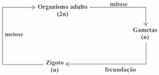Alternativa B da questão 22 do ENEM 2009 - 1º Dia - Caderno 4 - Rosa.