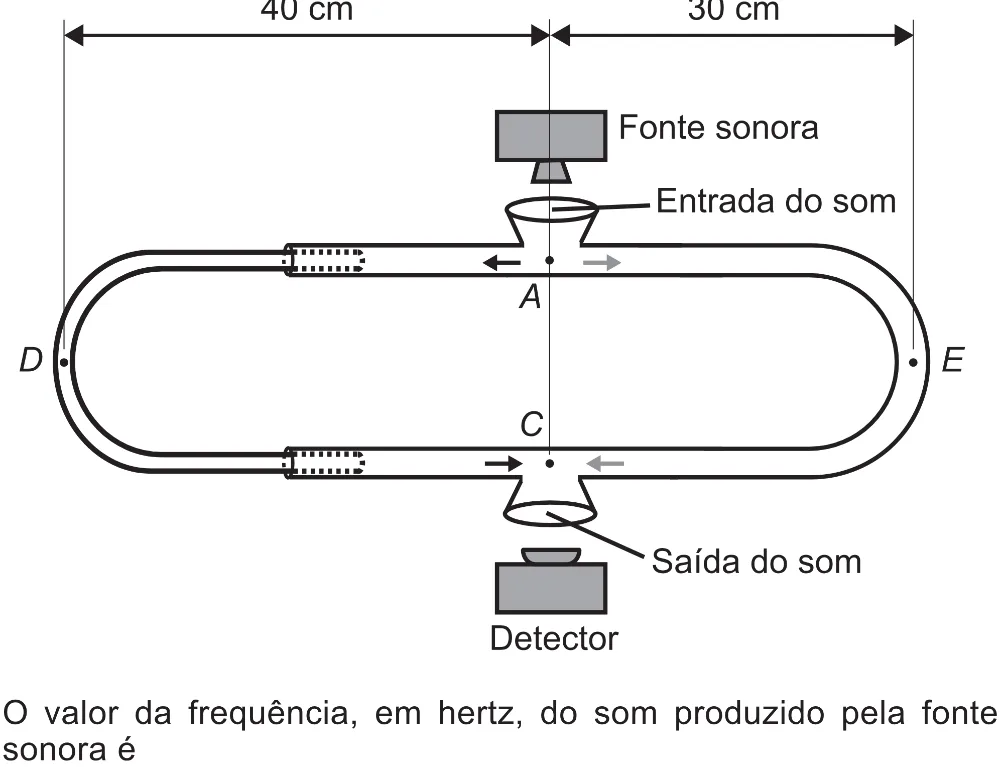 Trecho original com figura, tabela ou fórmula da questão 113 do ENEM 2017 - 2º Dia - Caderno 5 – Amarelo (Superampliada) – Aplicação regular.