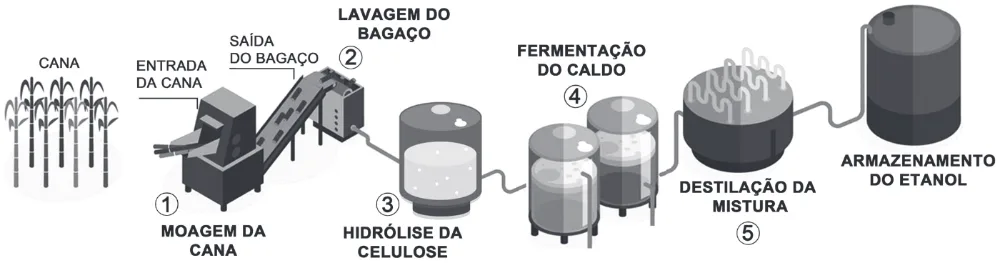 Trecho original com figura, tabela ou fórmula da questão 111 do ENEM 2018 - 2º Dia - Caderno 19 - Azul - Reaplicação/PPL.