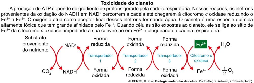 Trecho original com figura, tabela ou fórmula da questão 127 do ENEM 2023 - 2º Dia – Caderno 7 – Azul – Aplicação Regular.