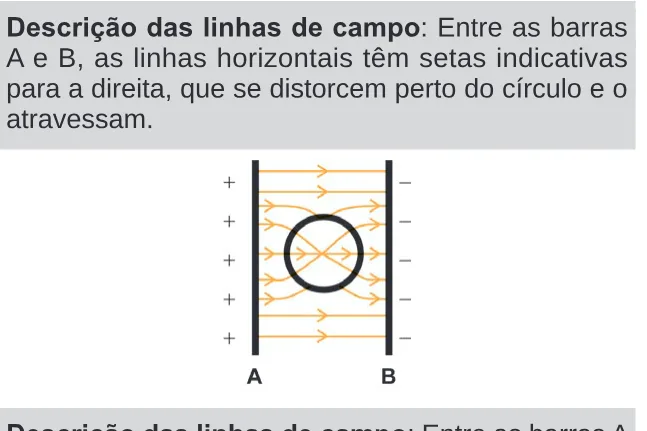 Alternativa D da questão 128 do ENEM 2024 - 2º Dia – Caderno 11 – Laranja (braile e ledor) – Aplicação Regular.