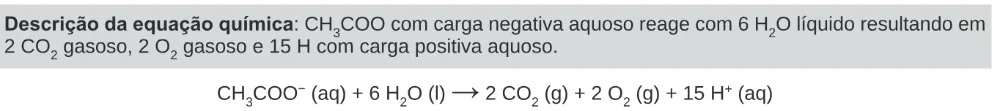 Alternativa D da questão 106 do ENEM 2024 - 2º Dia – Caderno 11 – Laranja (braile e ledor) – Aplicação Regular.