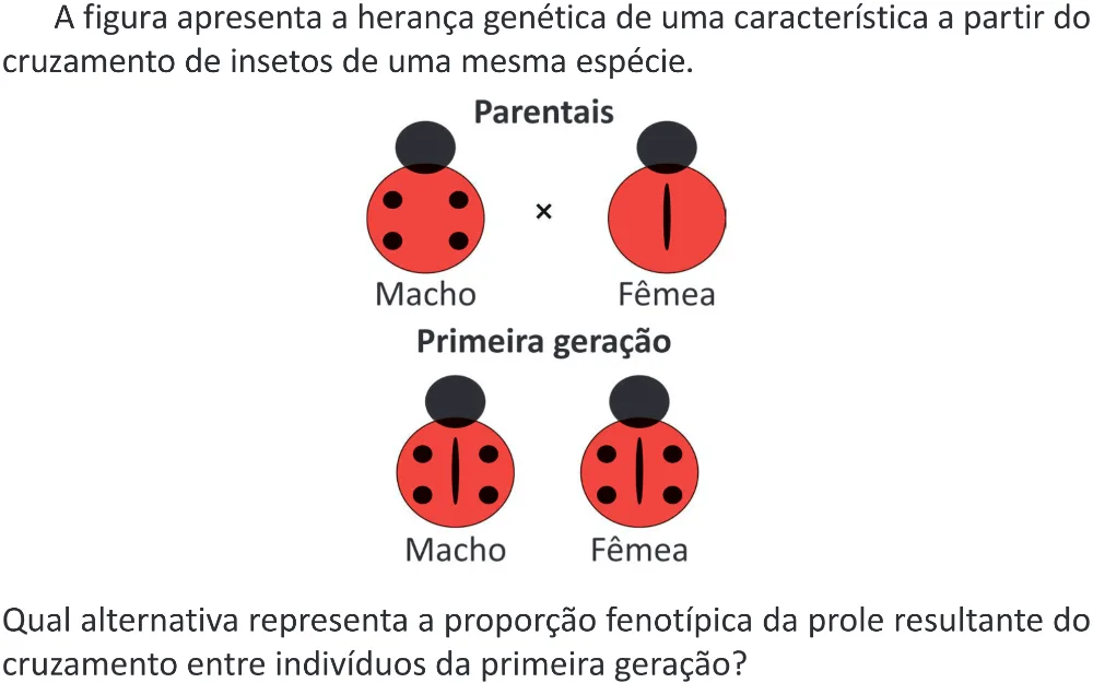 Trecho original com figura, tabela ou fórmula da questão 101 do ENEM 2025 - 2º Dia – Caderno 11 – Laranja (Braile e ledor) – Aplicação Regular - (Superampliada).