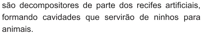Alternativa E da questão 135 do ENEM 2021 - 2º Dia – Caderno 7 – Azul – Reaplicação/PPL/Segunda Oportunidade.