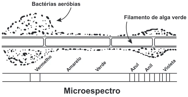 Trecho original com figura, tabela ou fórmula da questão 107 do ENEM 2020 - 2º Dia - Caderno 12 – Verde (Libras) – Aplicação Regular.