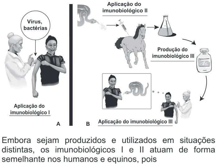 Trecho original com figura, tabela ou fórmula da questão 47 do ENEM 2014 - 1º Dia - Caderno 3 - Branco – Aplicação regular.