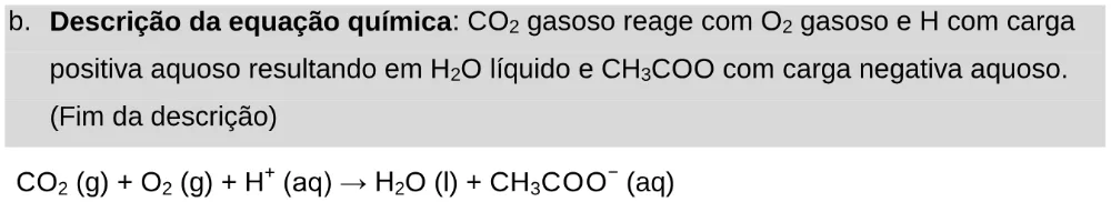Alternativa B da questão 106 do ENEM 2024 - 2º Dia – Caderno 11 – Laranja (braile e ledor) – Aplicação Regular - Leitor de tela (NVDA).