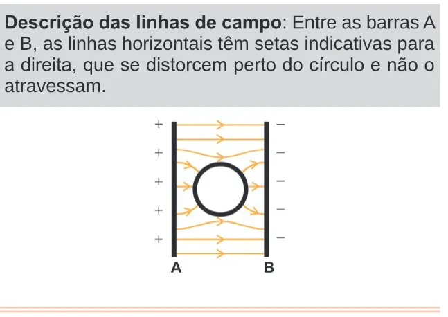 Alternativa E da questão 128 do ENEM 2024 - 2º Dia – Caderno 11 – Laranja (braile e ledor) – Aplicação Regular.