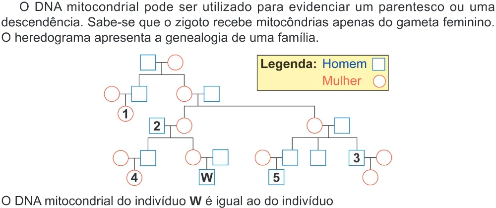 Trecho original com figura, tabela ou fórmula da questão 106 do ENEM 2024 - 2º Dia – Caderno 8 – Verde (Ampliada) – Reaplicação/PPL.