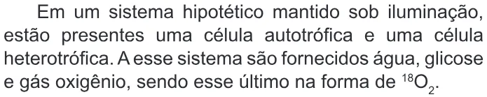 Trecho original com figura, tabela ou fórmula da questão 116 do ENEM 2022 - 2º Dia – Caderno 7 – Azul – Reaplicação/PPL.