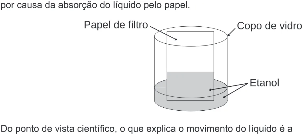 Trecho original com figura, tabela ou fórmula da questão 93 do ENEM 2019 - 2º Dia – Caderno 6 – Cinza (Ampliada) – Aplicação Regular.