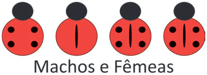 Alternativa E da questão 101 do ENEM 2025 - 2º Dia – Caderno 11 – Laranja (Braile e ledor) – Aplicação Regular - (Superampliada).
