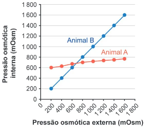Alternativa B da questão 135 do ENEM 2024 - 2º Dia – Caderno 6 – Cinza – Reaplicação/PPL.