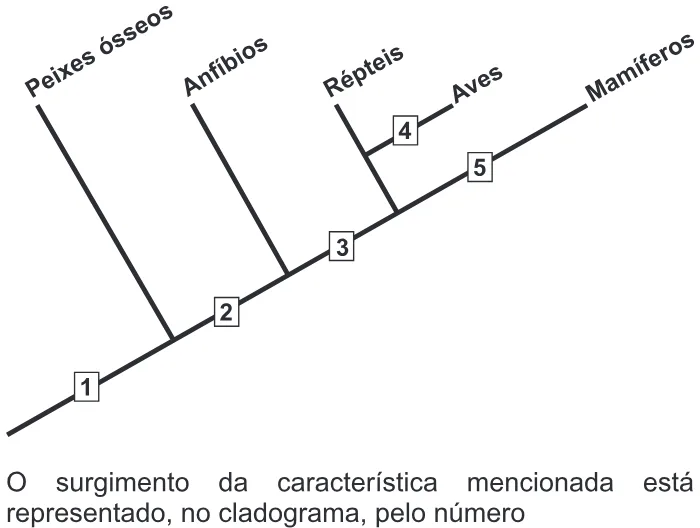 Trecho original com figura, tabela ou fórmula da questão 51 do ENEM 2015 - 1º Dia - Caderno 10 - Branco – Reaplicação/PPL.