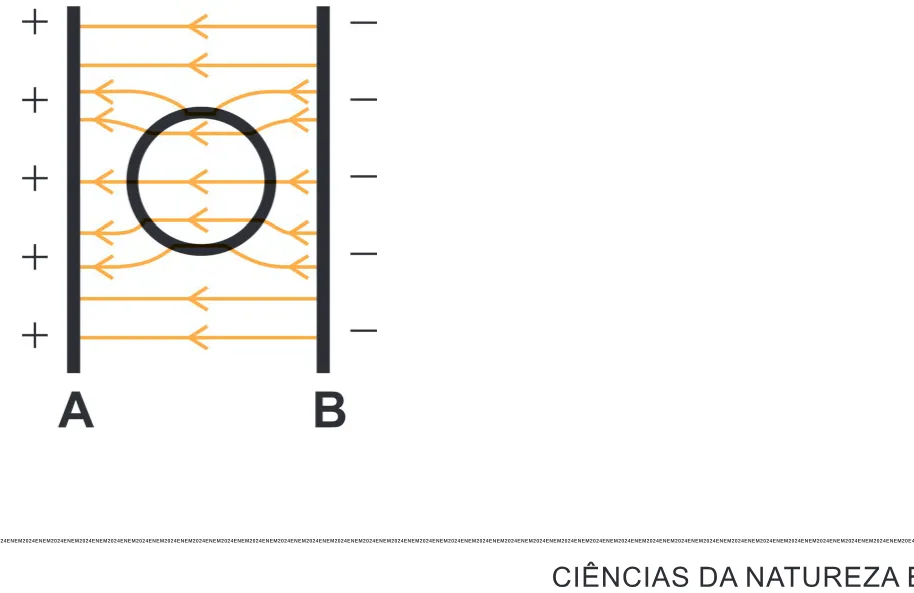 Alternativa C da questão 128 do ENEM 2024 - 2º Dia – Caderno 12 – Roxo (Libras) – Aplicação Regular - (Ampliada).