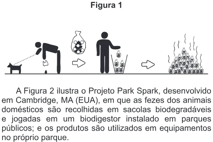 Trecho original com figura, tabela ou fórmula da questão 60 do ENEM 2016 - 1º Dia - Caderno 2 - Amarelo – Aplicação regular.