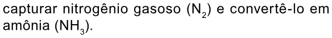 Alternativa D da questão 105 do ENEM 2023 - 2º Dia – Caderno 11 – Laranja (braile e ledor) – Reaplicação/PPL.