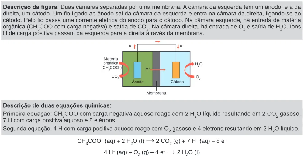 Trecho original com figura, tabela ou fórmula da questão 106 do ENEM 2024 - 2º Dia – Caderno 11 – Laranja (braile e ledor) – Aplicação Regular.