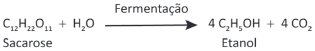 Trecho original com figura, tabela ou fórmula da questão 116 do ENEM 2025 - 2º Dia – Caderno 7 – Azul – Reaplicação.