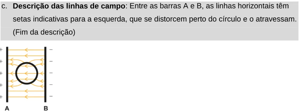 Alternativa C da questão 128 do ENEM 2024 - 2º Dia – Caderno 11 – Laranja (braile e ledor) – Aplicação Regular - Leitor de tela (NVDA).
