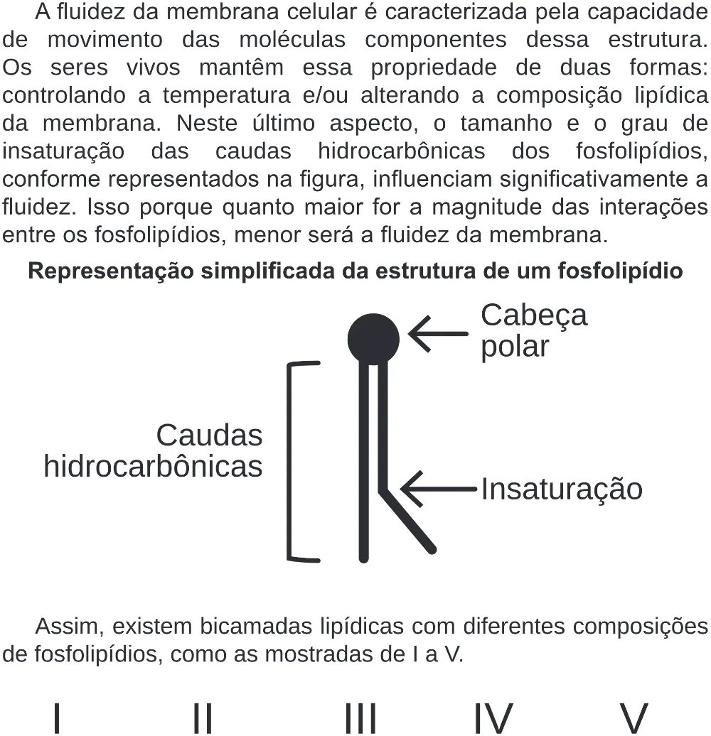 Trecho original com figura, tabela ou fórmula da questão 123 do ENEM 2019 - 2º Dia – Caderno 6 – Cinza (Superampliada) – Aplicação Regular.