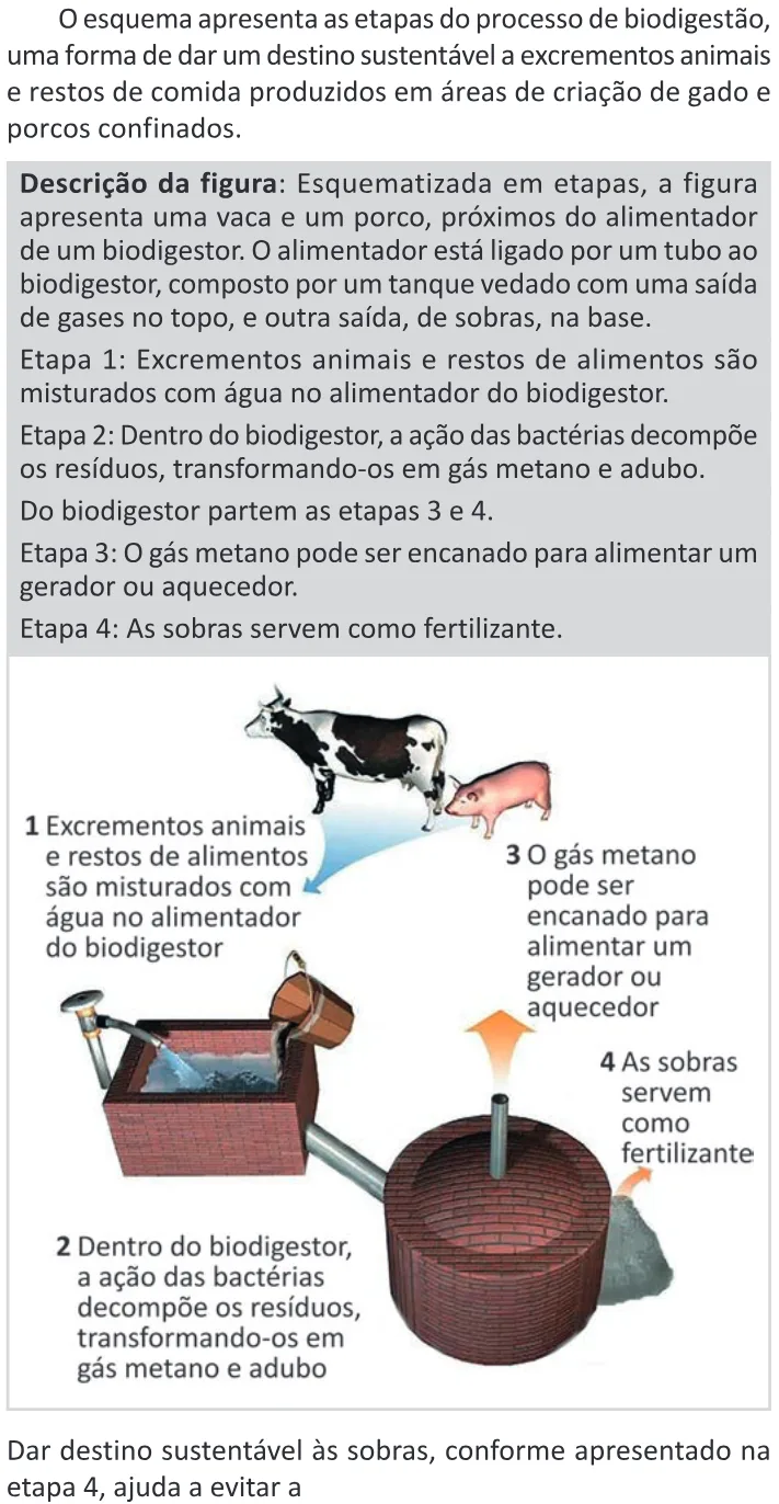 Trecho original com figura, tabela ou fórmula da questão 105 do ENEM 2025 - 2º Dia – Caderno 11 – Laranja (Braile e ledor) – Aplicação Regular - (Ledor).