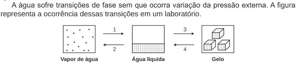 Trecho original com figura, tabela ou fórmula da questão 117 do ENEM 2020 - 2º Dia – Caderno 8 – Rosa (Ampliada) – Reaplicação/PPL.