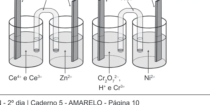 Alternativa C da questão 117 do ENEM 2017 - 2º Dia - Caderno 5 - Amarelo – Aplicação regular.