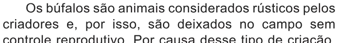 Trecho original com figura, tabela ou fórmula da questão 123 do ENEM 2021 - 2º Dia – Caderno 11 – Laranja (braile e ledor) – Aplicação Regular.