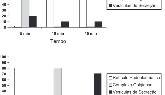Alternativa B da questão 76 do ENEM 2015 - 1º Dia - Caderno 2 - Amarelo – Aplicação regular.