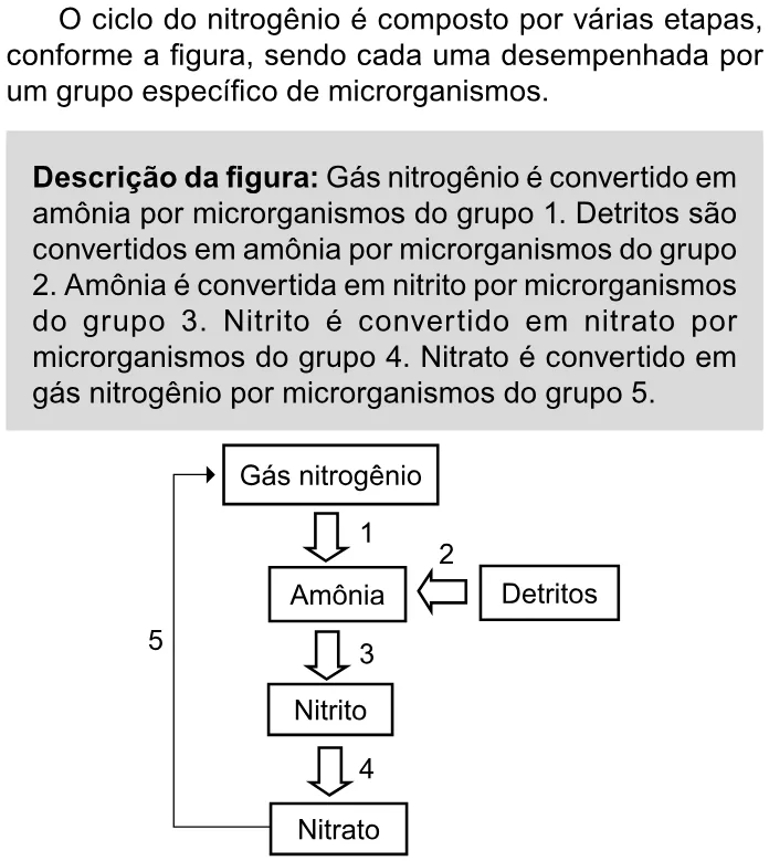 Trecho original com figura, tabela ou fórmula da questão 111 do ENEM 2023 - 2º Dia – Caderno 11 – Laranja (braile e ledor) – Aplicação Regular.