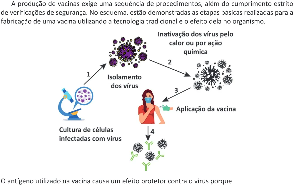 Trecho original com figura, tabela ou fórmula da questão 99 do ENEM 2025 - 2º Dia – Caderno 12 – Roxo (Libras) – Aplicação Regular - (Ampliada).
