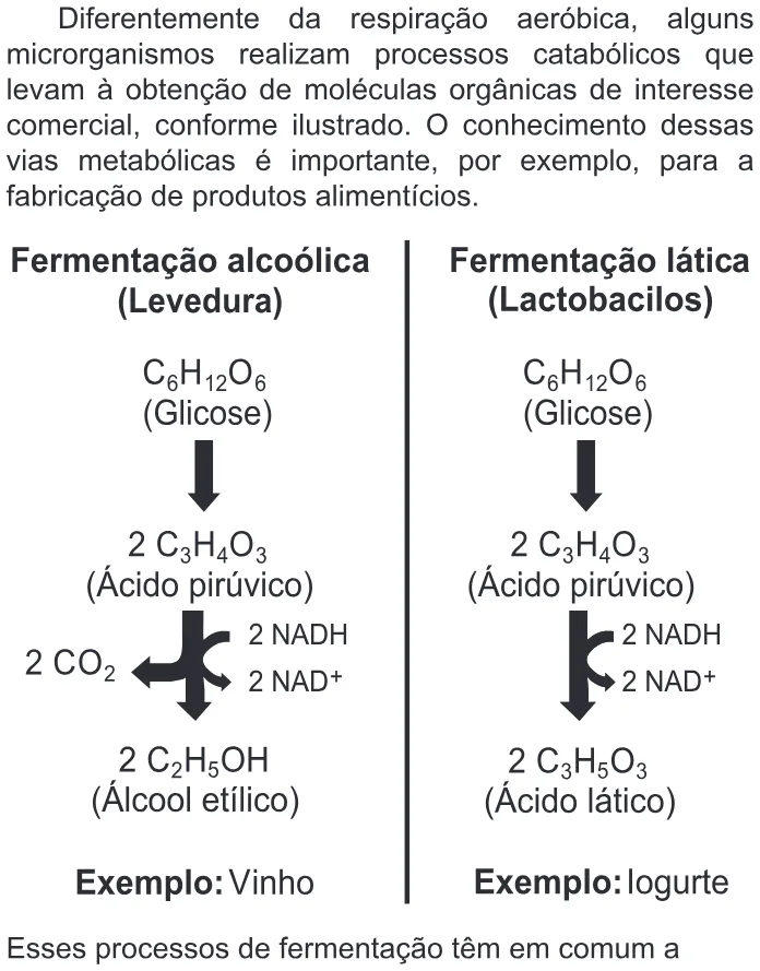 Trecho original com figura, tabela ou fórmula da questão 106 do ENEM 2022 - 2º Dia – Caderno 6 – Cinza – Reaplicação/PPL.