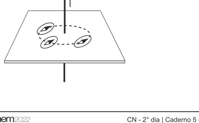 Alternativa C da questão 118 do ENEM 2022 - 2º Dia – Caderno 5 – Amarelo – Aplicação Regular.