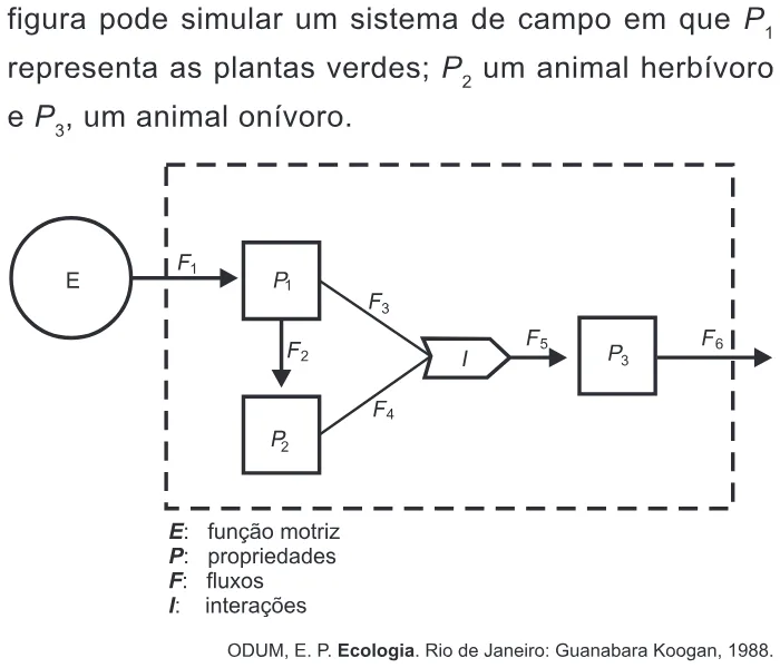 Trecho original com figura, tabela ou fórmula da questão 71 do ENEM 2012 - 1º Dia - Caderno 2 - Amarelo – Aplicação regular.