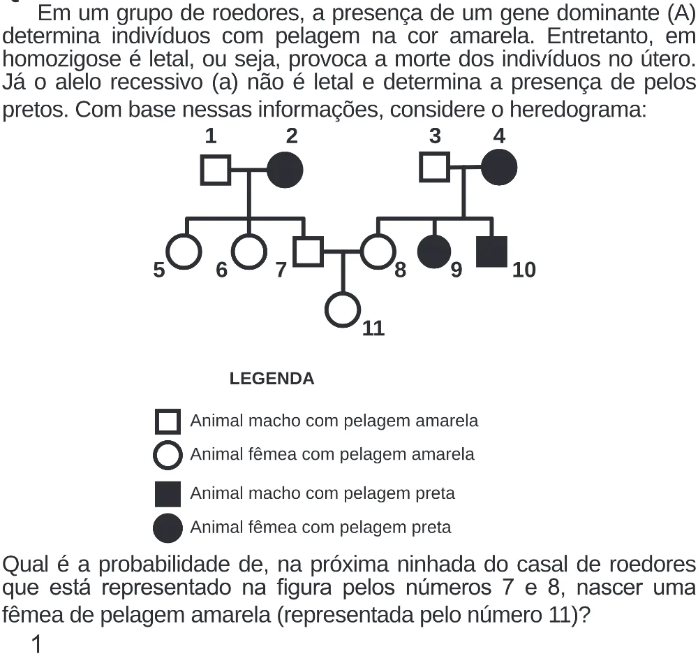 Trecho original com figura, tabela ou fórmula da questão 116 do ENEM 2020 - 2º Dia – Caderno 8 – Rosa (Superampliada) – Reaplicação/PPL.