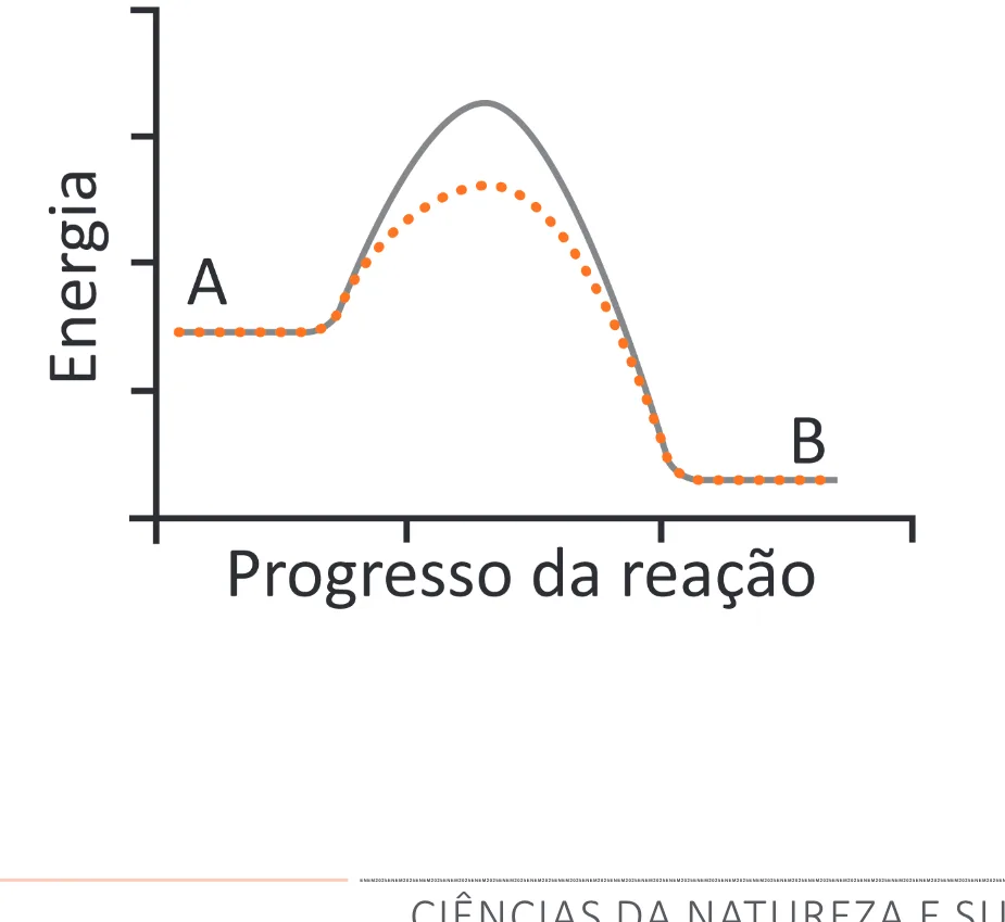 Alternativa C da questão 133 do ENEM 2025 - 2º Dia – Caderno 11 – Laranja (Braile e ledor) – Aplicação Regular - (Superampliada).