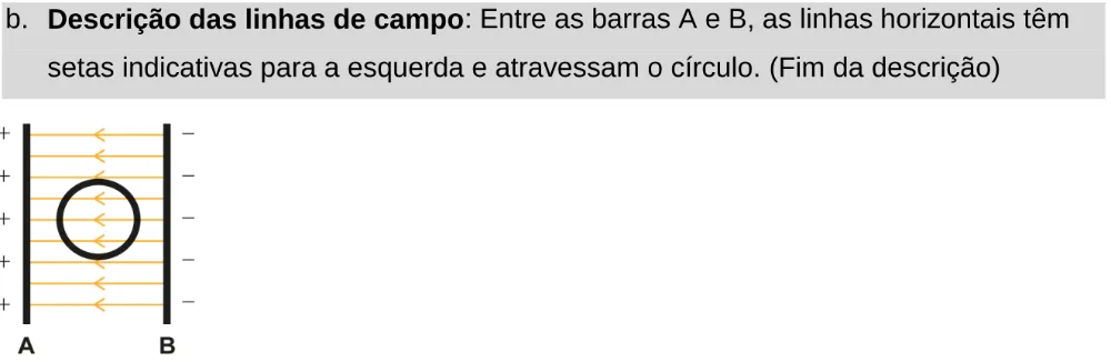 Alternativa B da questão 128 do ENEM 2024 - 2º Dia – Caderno 11 – Laranja (braile e ledor) – Aplicação Regular - Leitor de tela (NVDA).