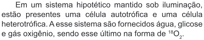 Trecho original com figura, tabela ou fórmula da questão 111 do ENEM 2022 - 2º Dia – Caderno 6 – Cinza – Reaplicação/PPL.