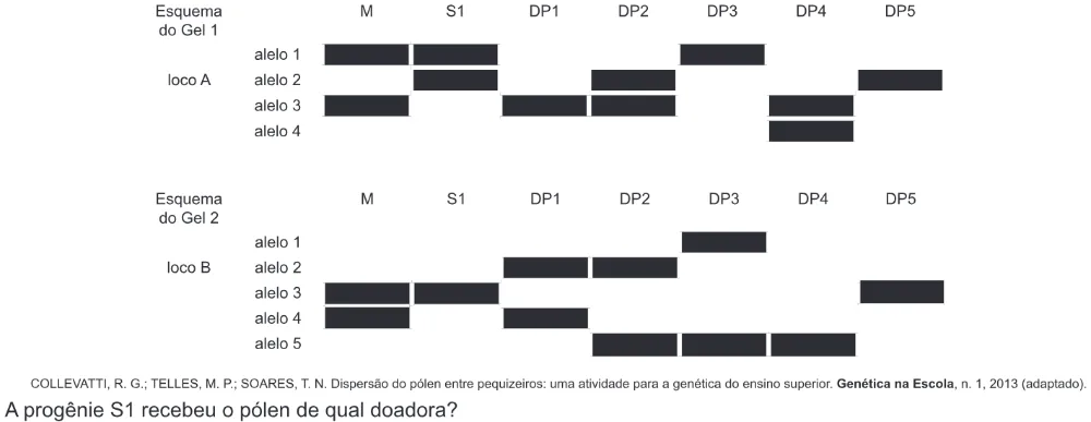 Trecho original com figura, tabela ou fórmula da questão 94 do ENEM 2018 - 2º Dia - Caderno 6 - Cinza – Aplicação regular.