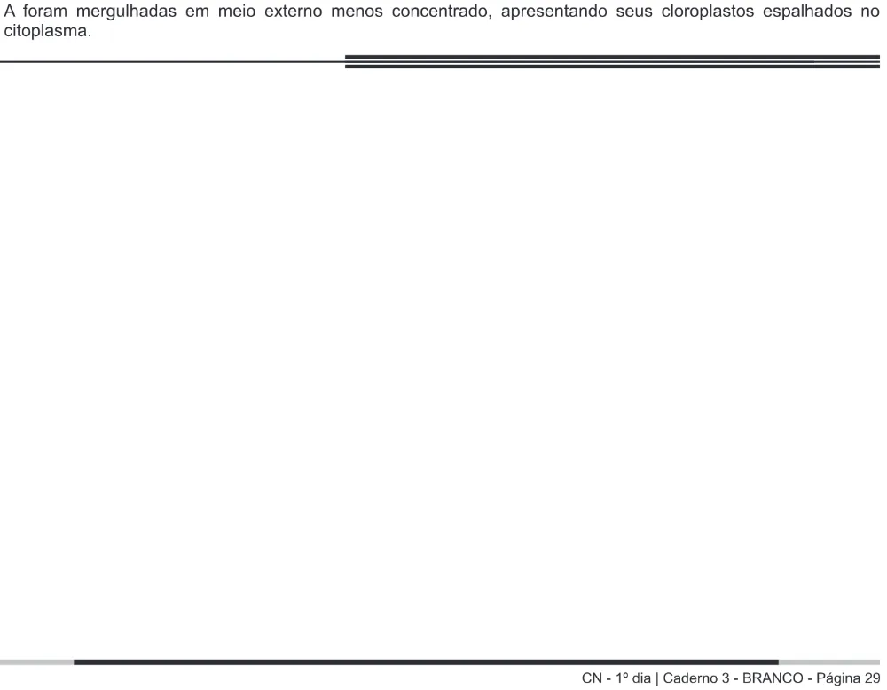Alternativa E da questão 84 do ENEM 2014 - 1º Dia – Caderno 3 – Branco – Terceira aplicação.