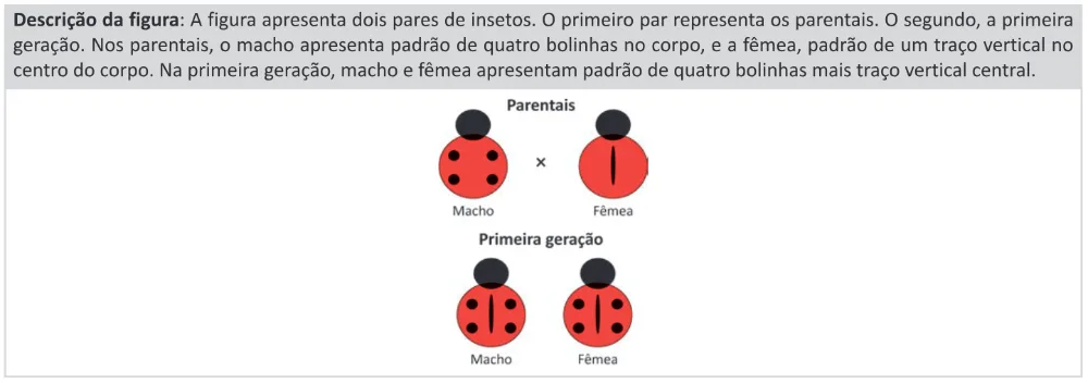 Trecho original com figura, tabela ou fórmula da questão 101 do ENEM 2025 - 2º Dia – Caderno 11 – Laranja (Braile e ledor) – Aplicação Regular - (Ledor).